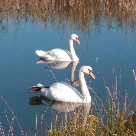 Appartement Estudio De Encanto En Isla Playa *