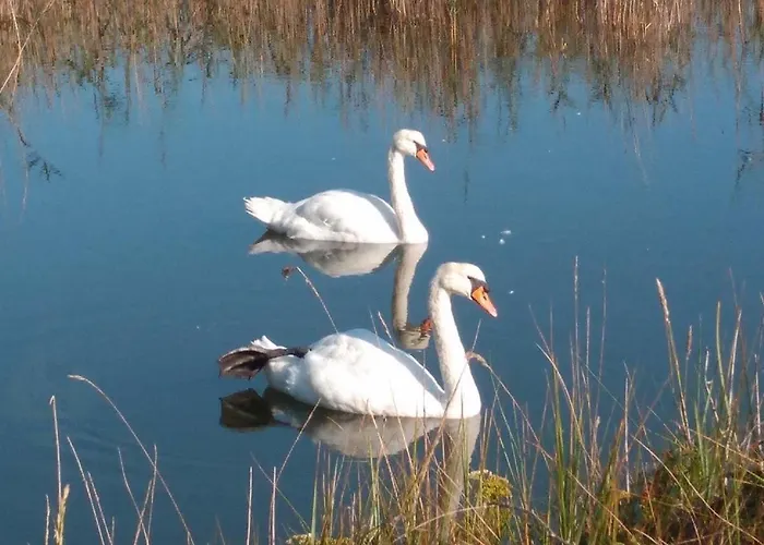 Lägenhet Estudio De Encanto En Isla Playa *